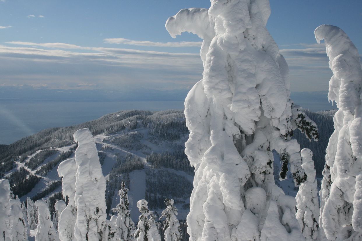 Hollyburn Mountain
