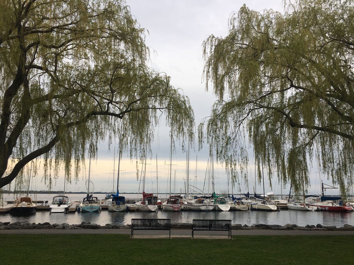 Marina