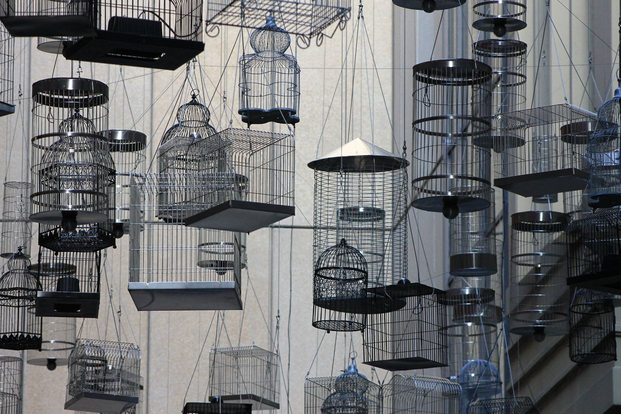 Angel Place Birdcages