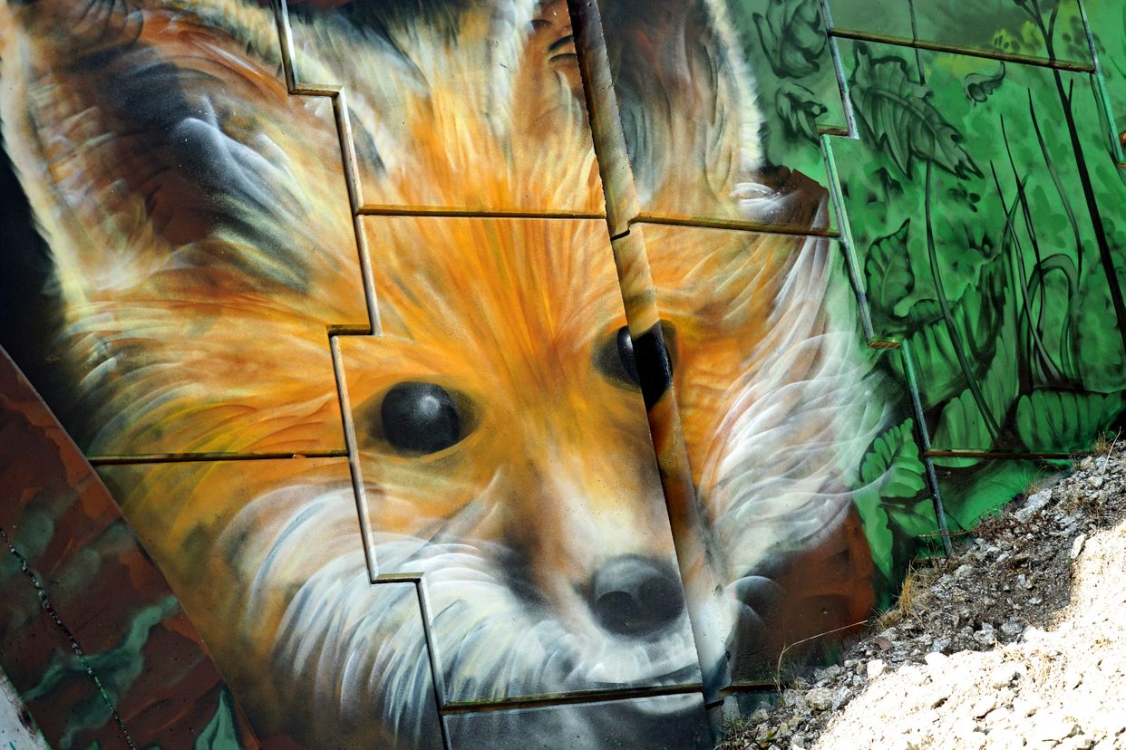 Beautiful Graffiti