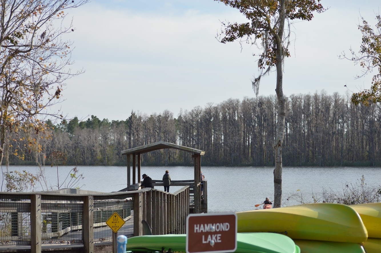 Lake Louisa State Park - Loop A — Photo by Allende Boddie Photography