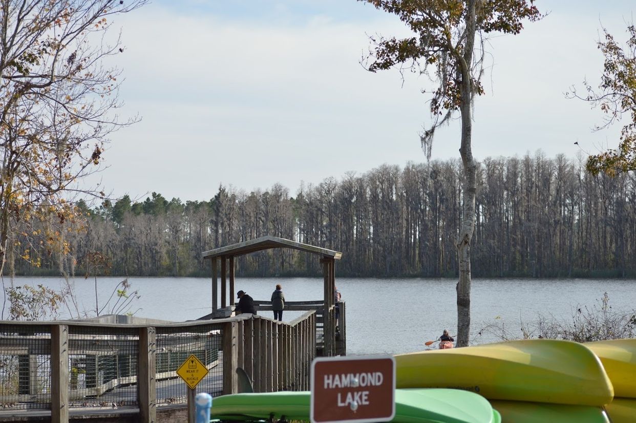 Lake Louisa State Park - Loop A