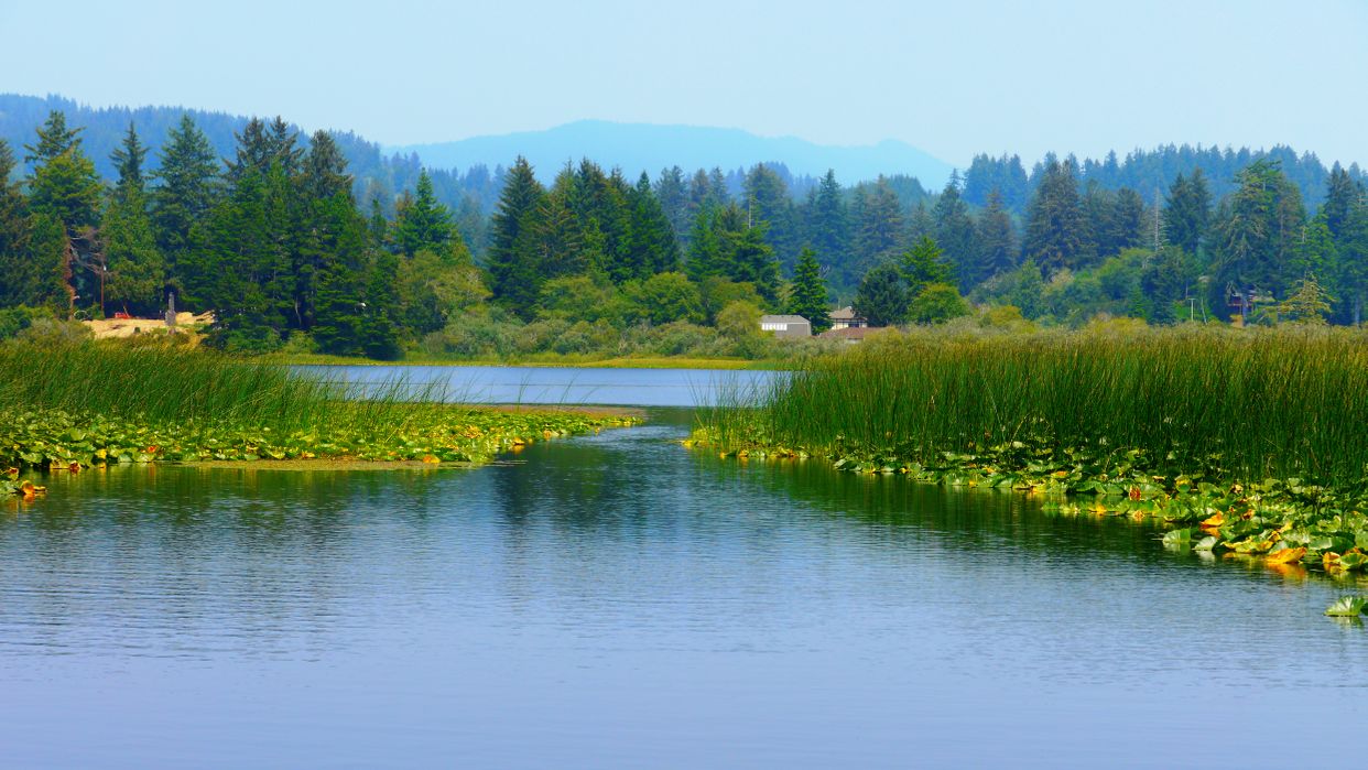 Sutton Lake