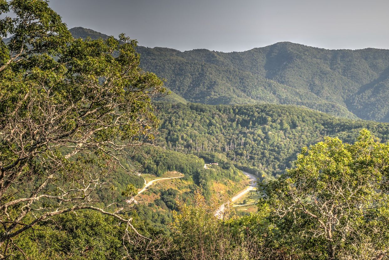 View from Plott Balsam Overlook 