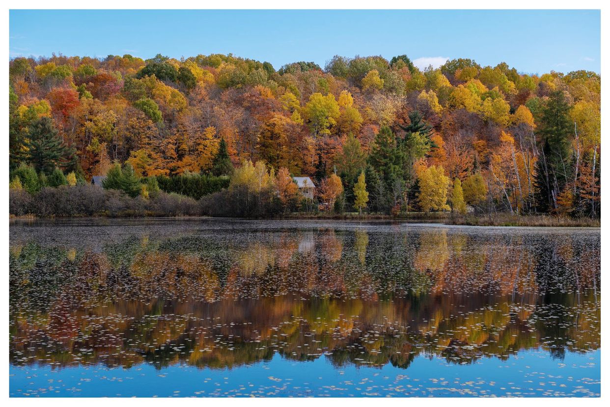 Lac Cloutier View