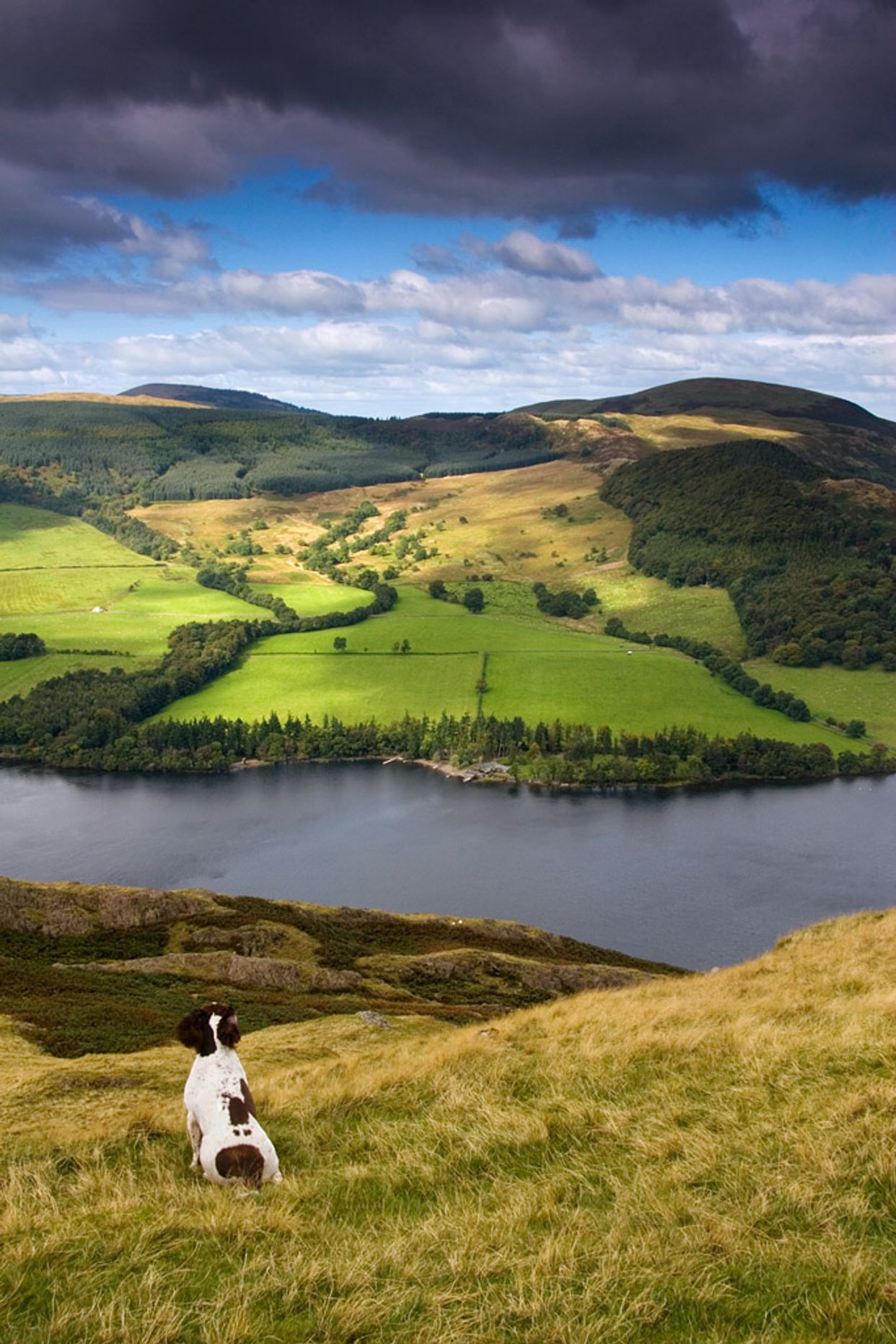 Hallin Fell