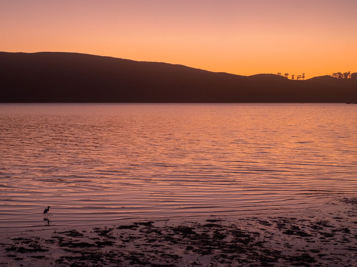 Nicks Cove