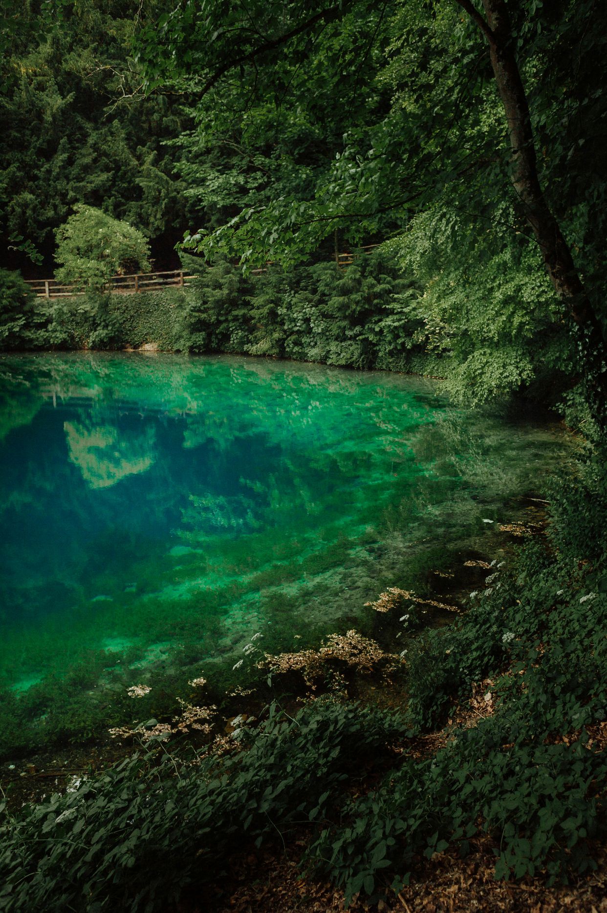 Blautopfquelle