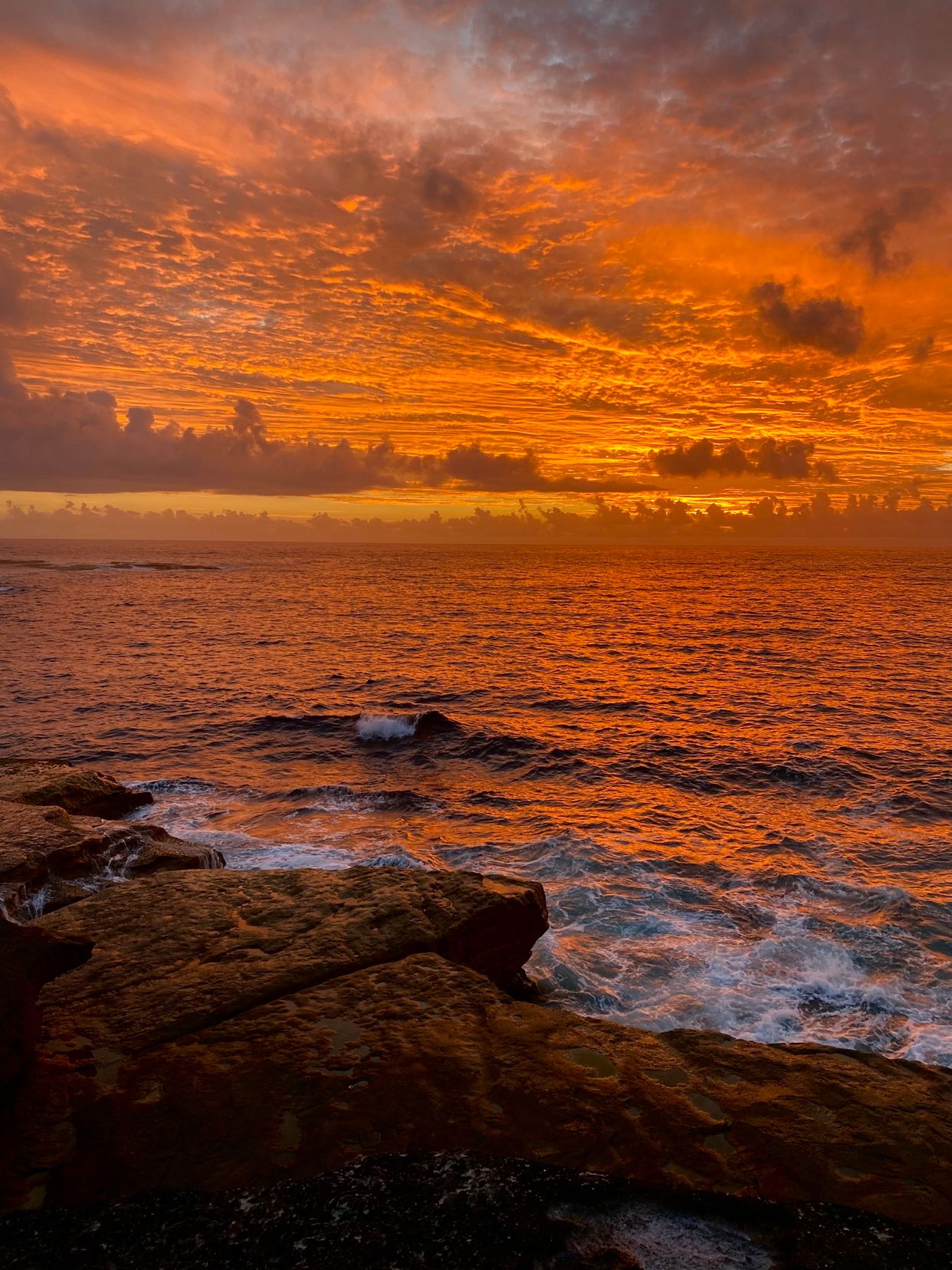Clovelly Beach