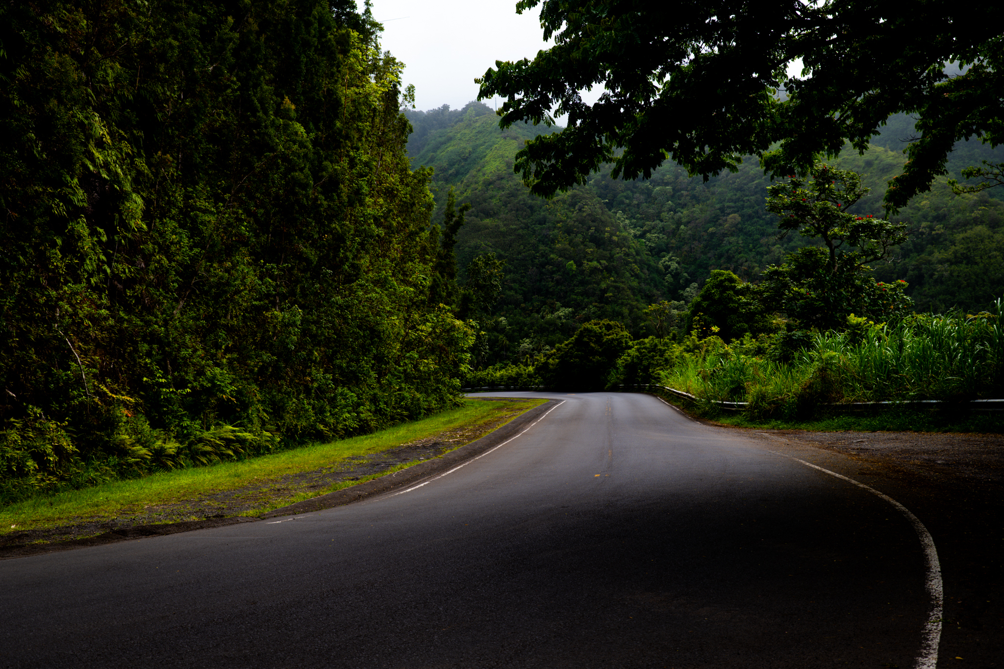 Road to Hana — Photo by Desert Heat Photography