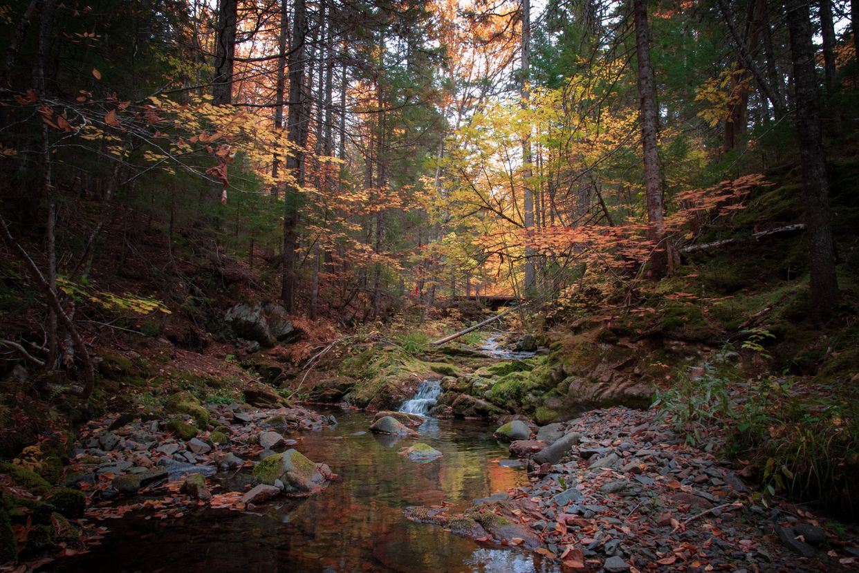 Photo by Aaron Smith