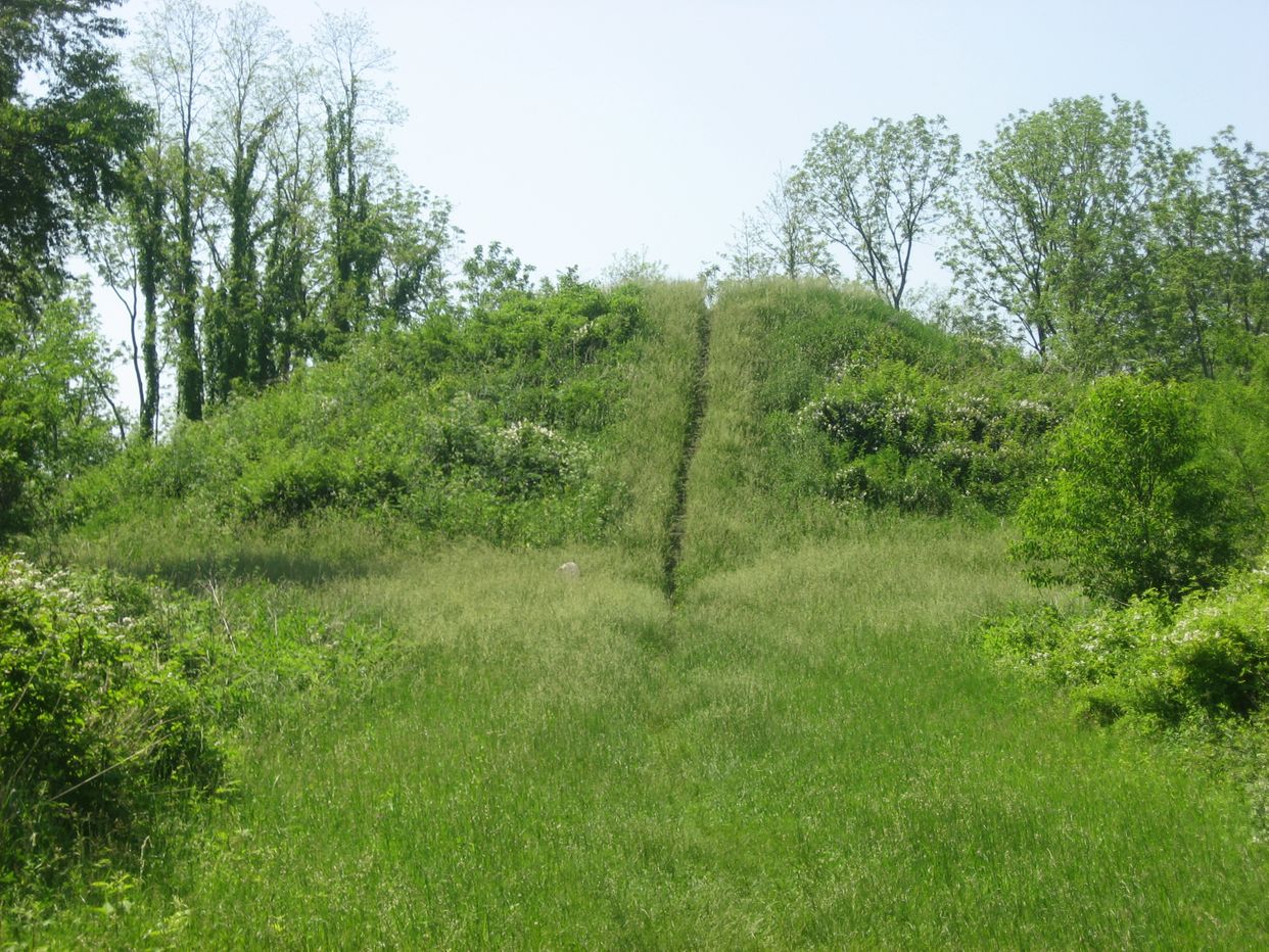 Williamson Mound