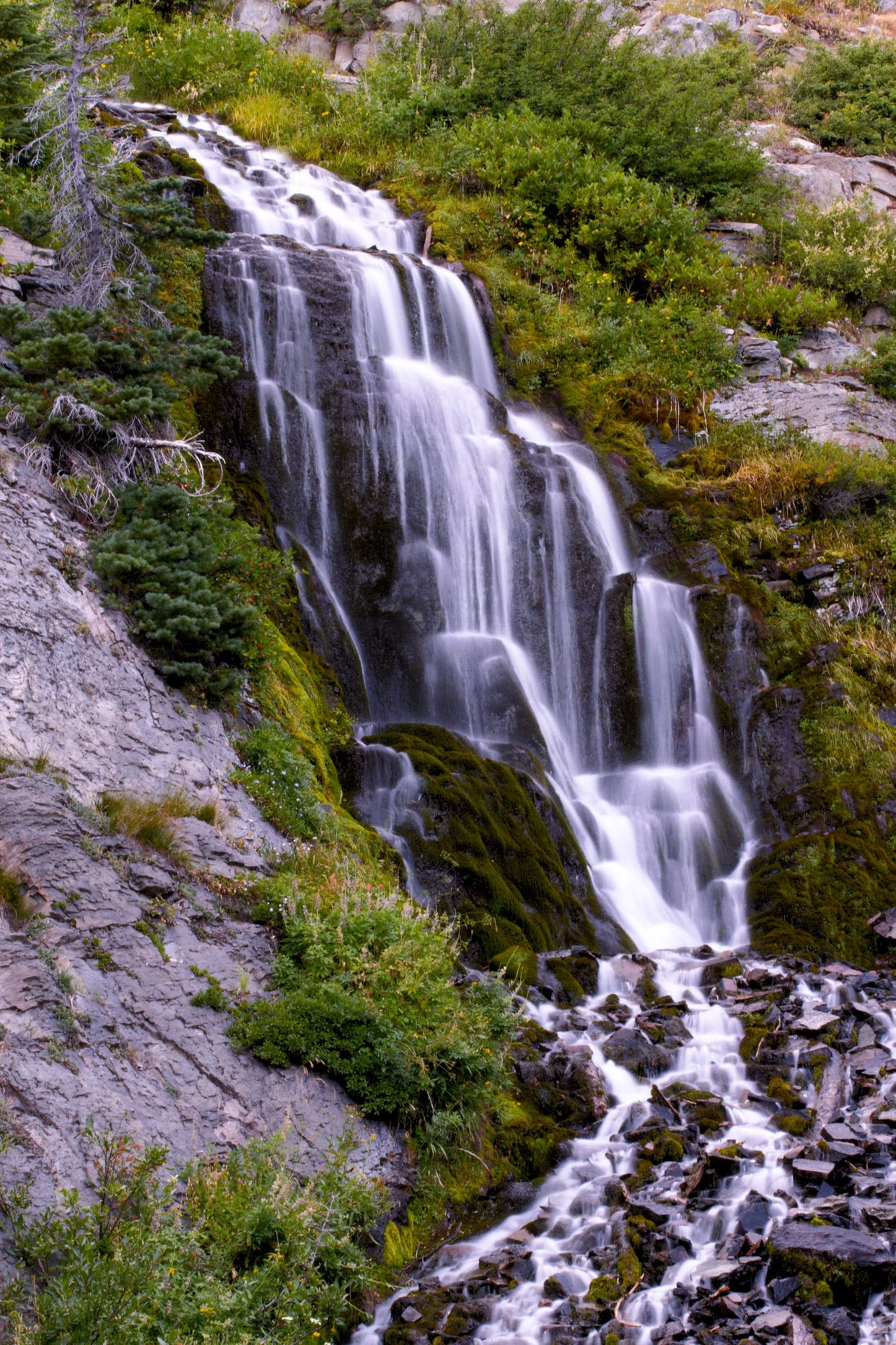 Vidae Falls
