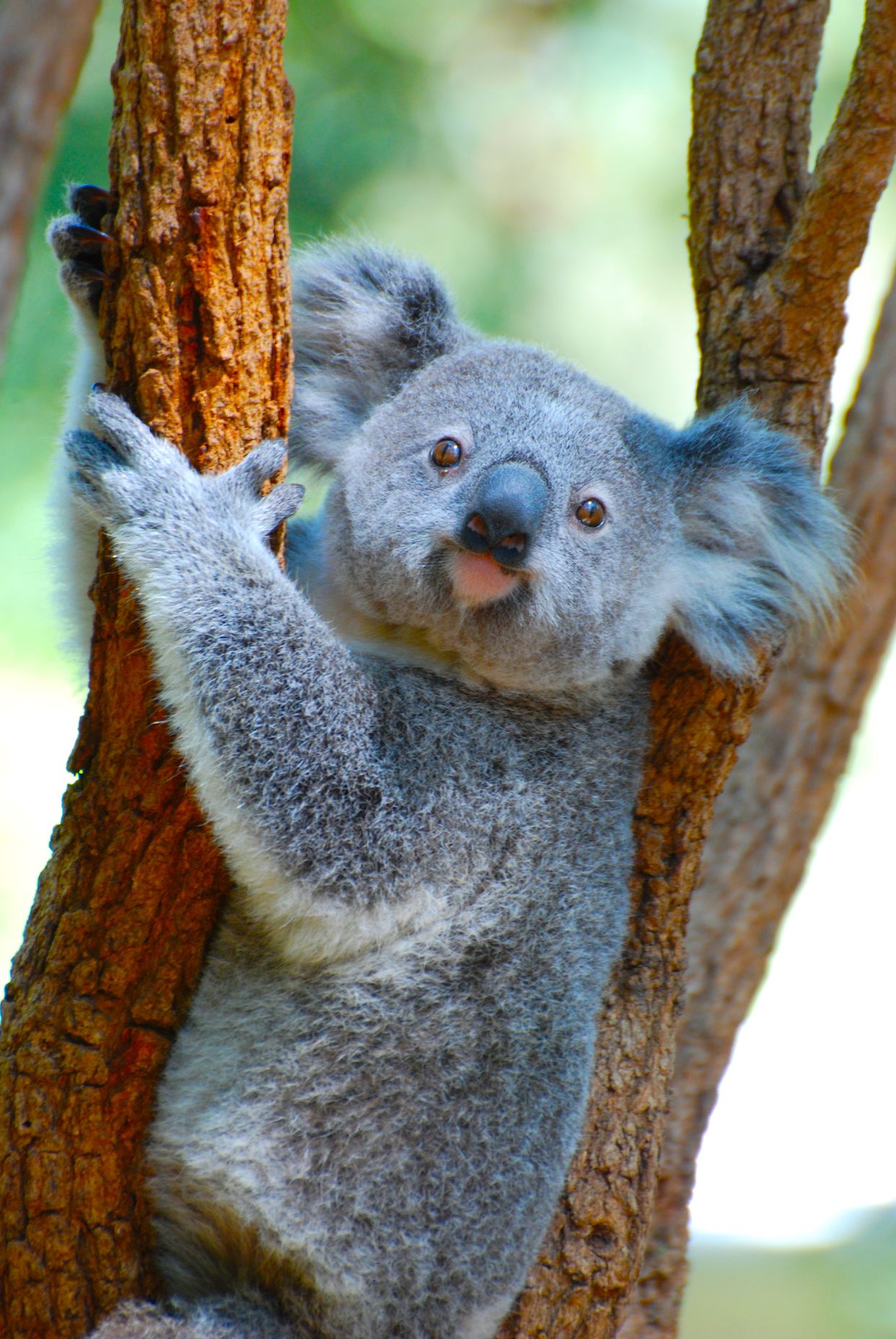 ZooTampa at Lowry Park