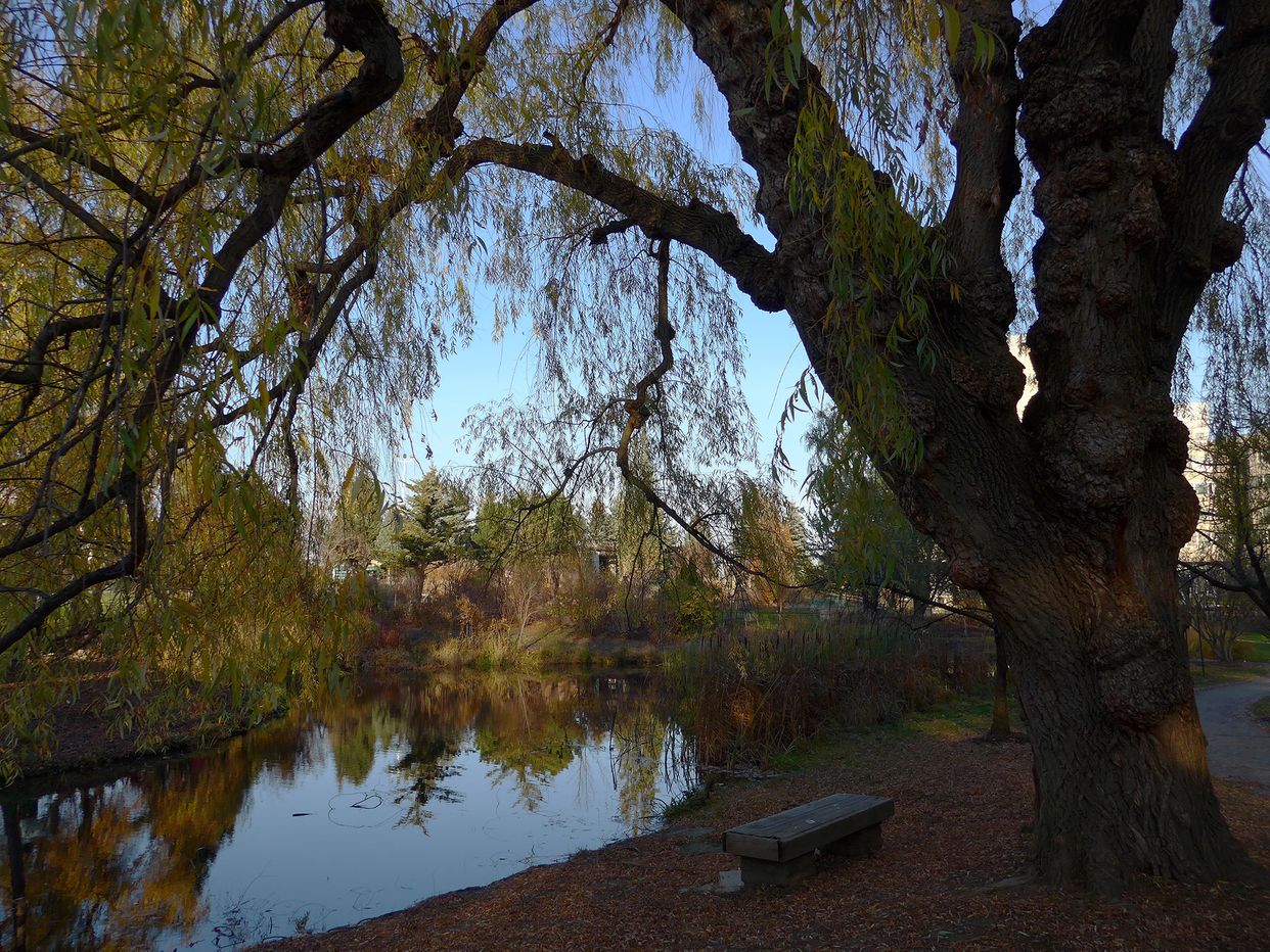  Humber Arboretum