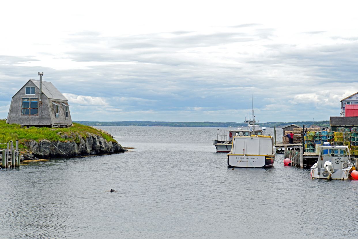View of Blue Rocks