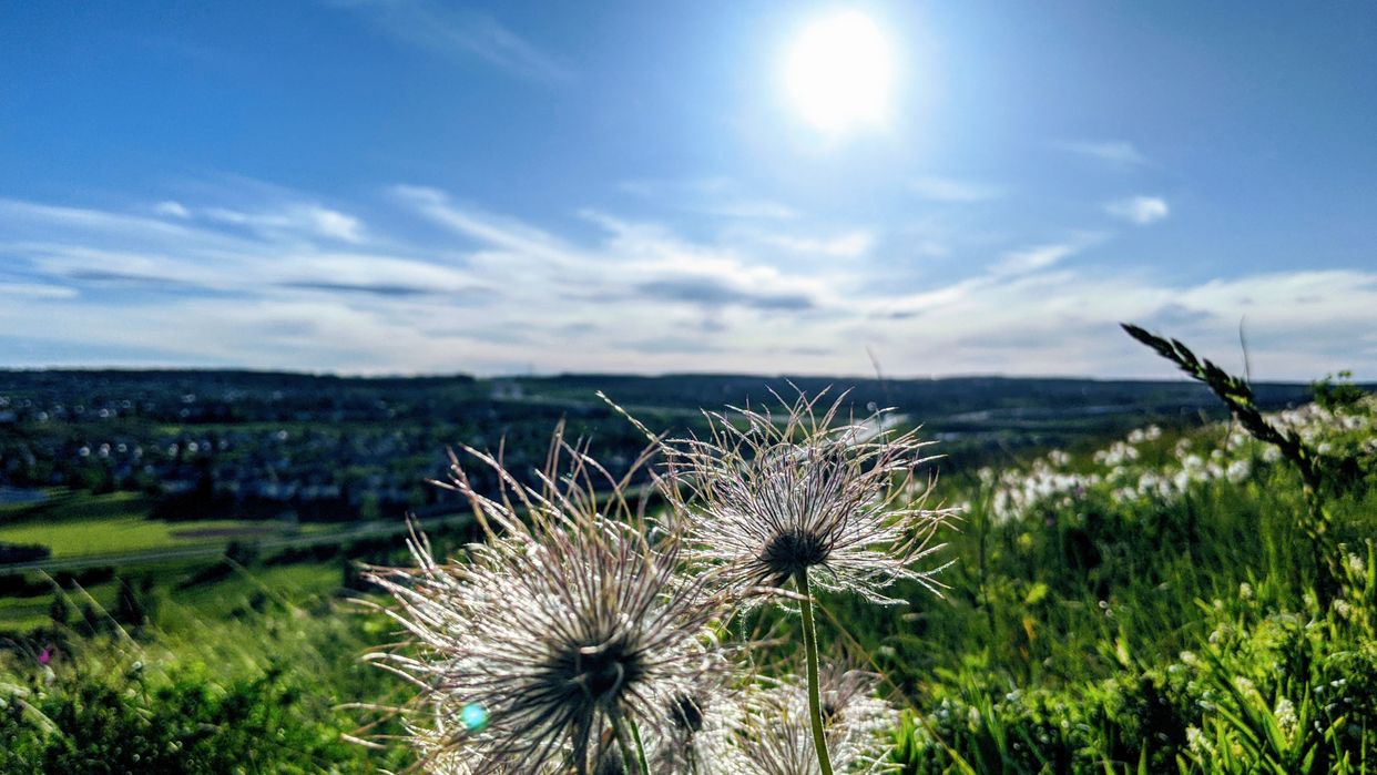 Panorama Hills View