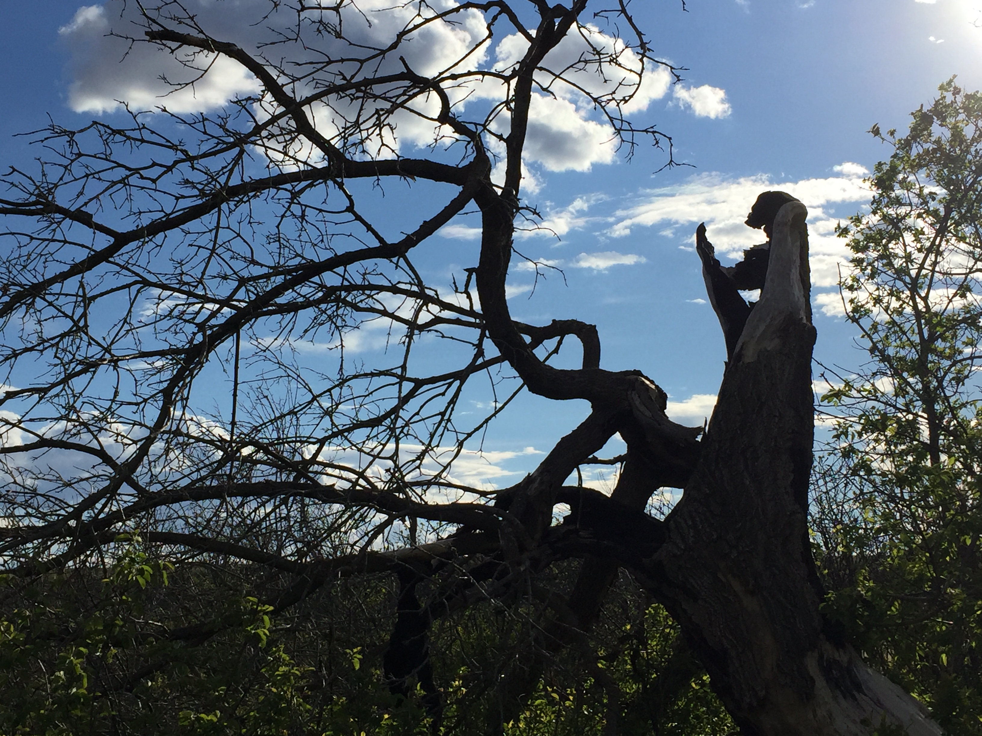 Wascana Valley Recreation Site — Photo by Cyndi
