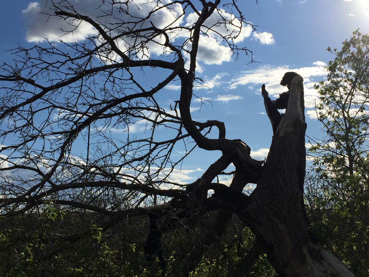 Wascana Valley Recreation Site