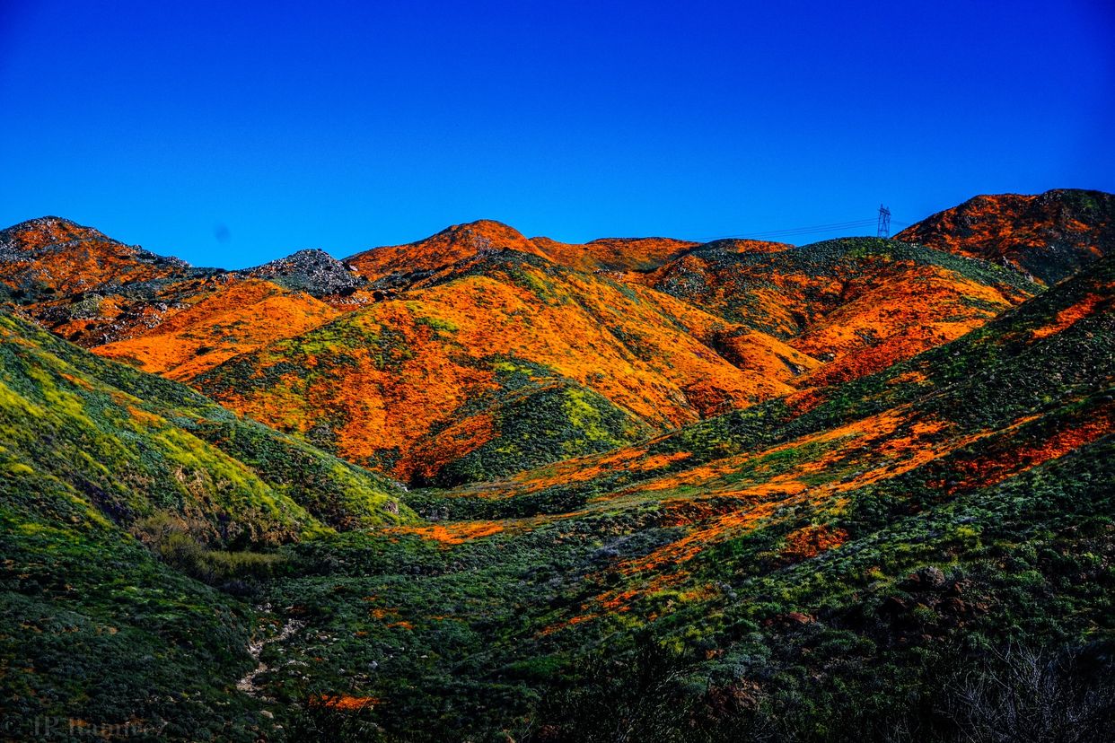 Walker Canyon Trail Head 