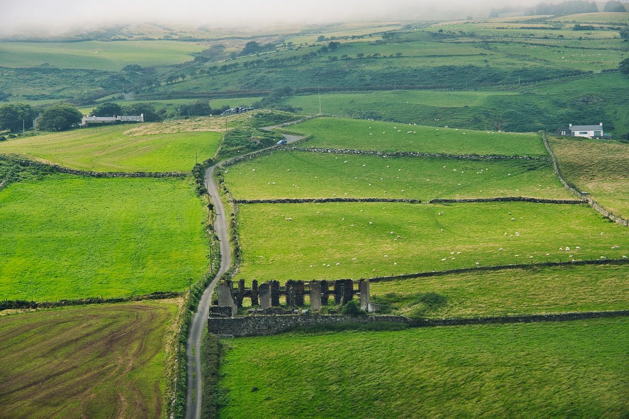 Torr Head