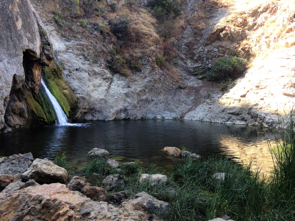 Paradise Falls