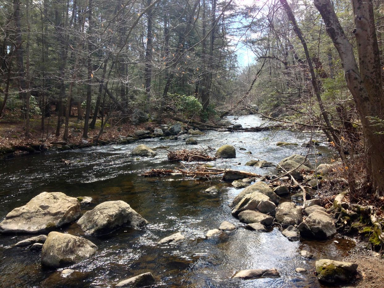 Mianus River 