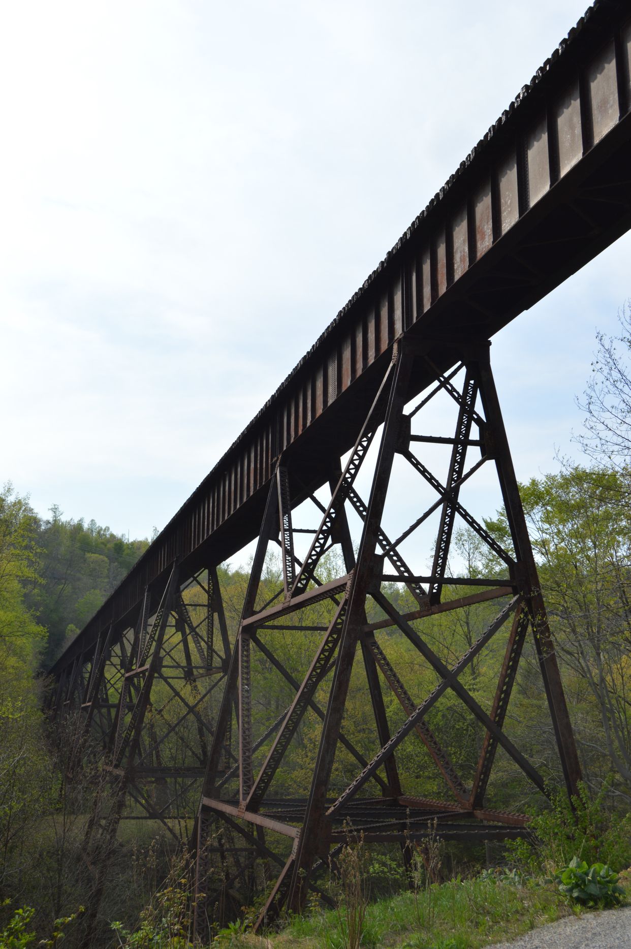 Trestle Underside