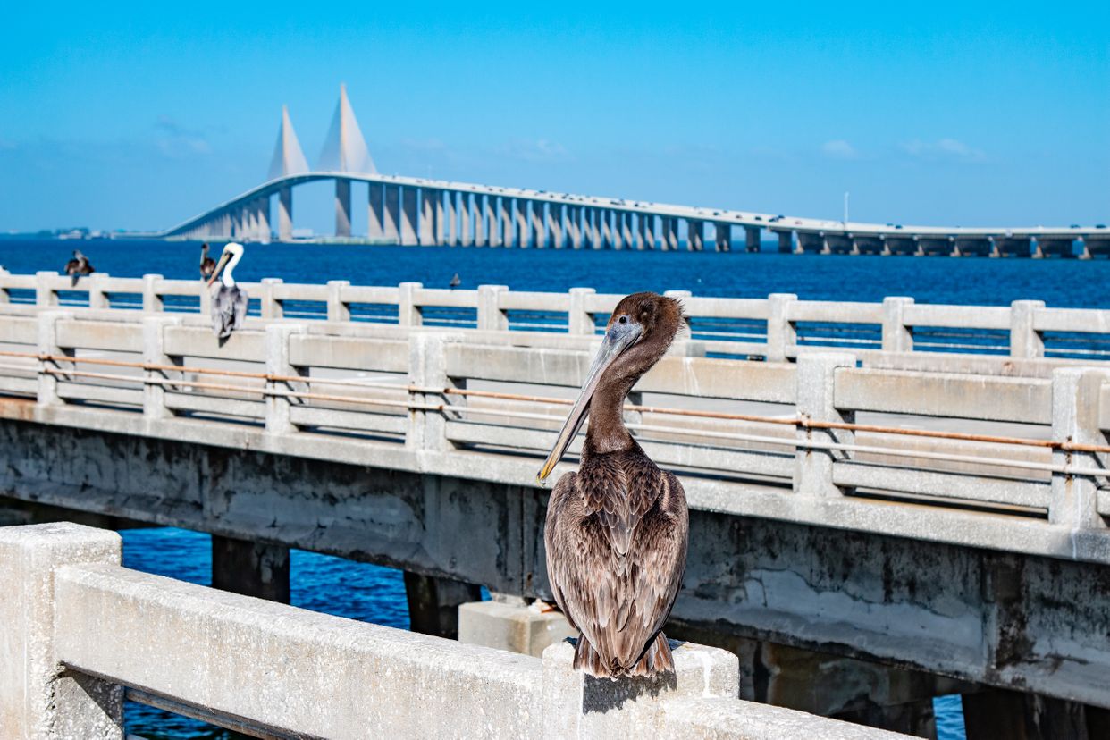 Skyway Fishing Pier State Park