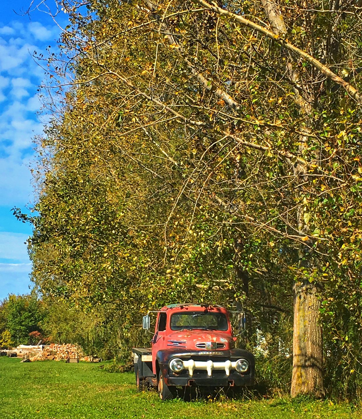 Abandoned Truck