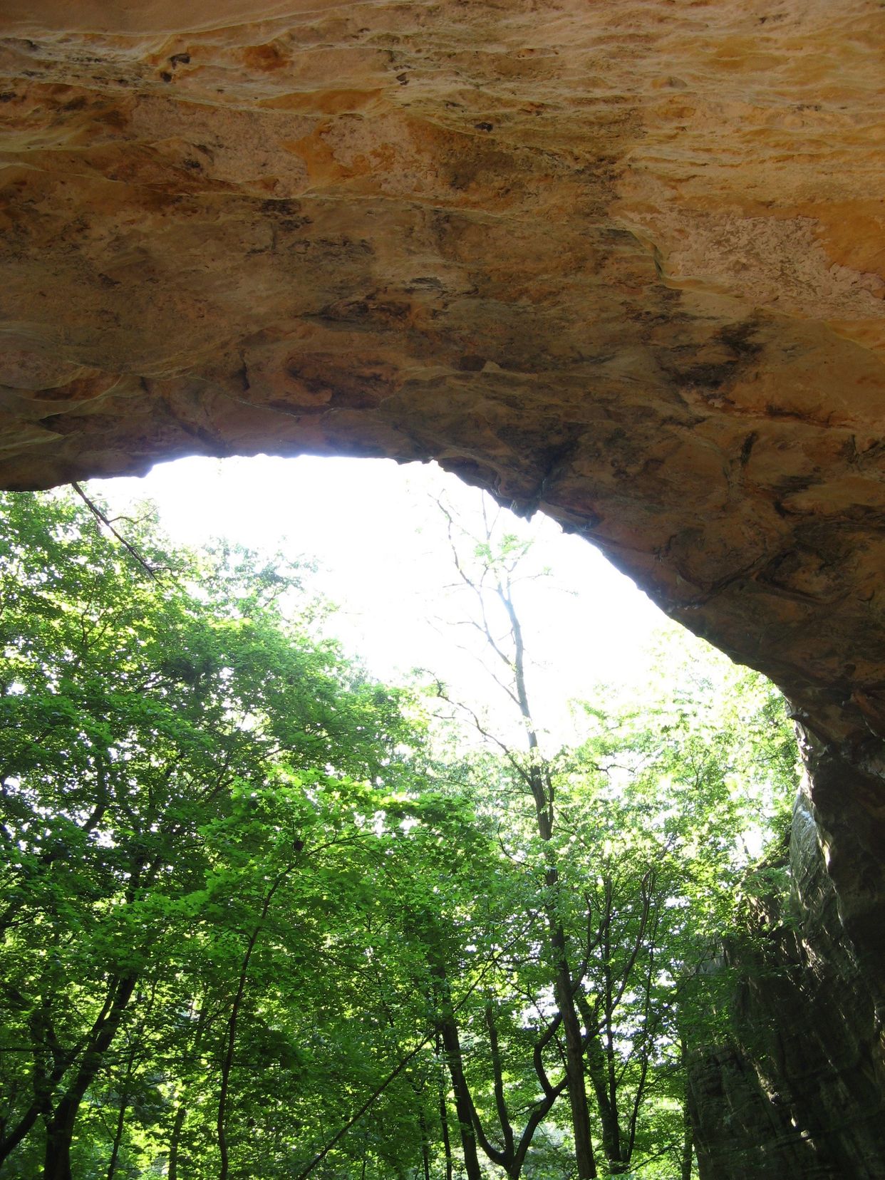 Natural Dome