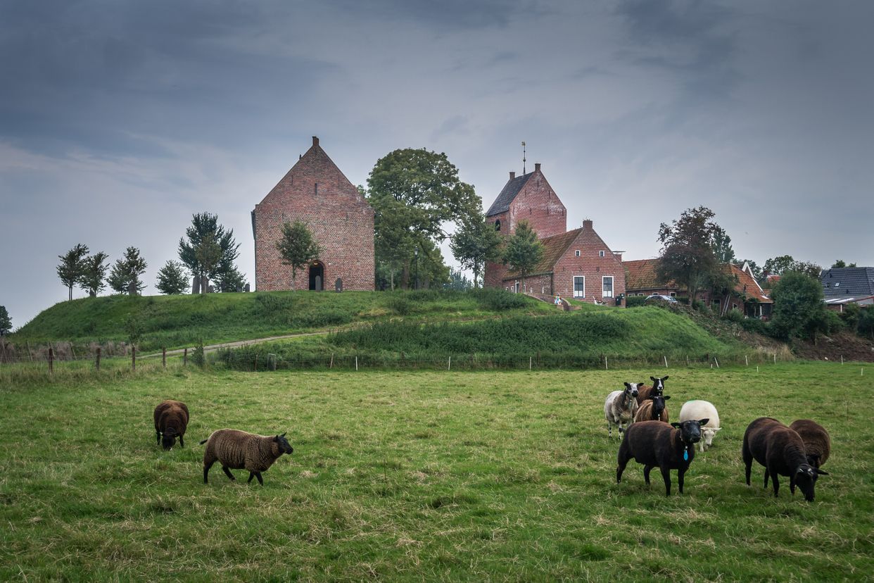 Ezinge