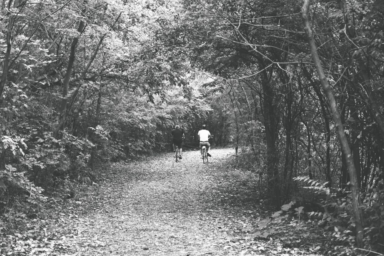 Photo by lifeandish.com