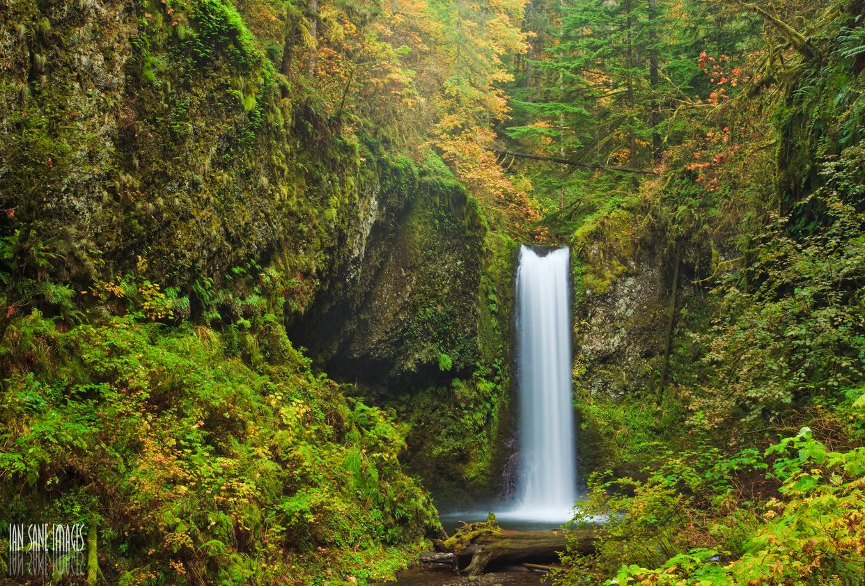 Wiesendanger Falls