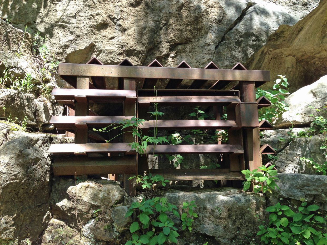 Rockwoods Cave