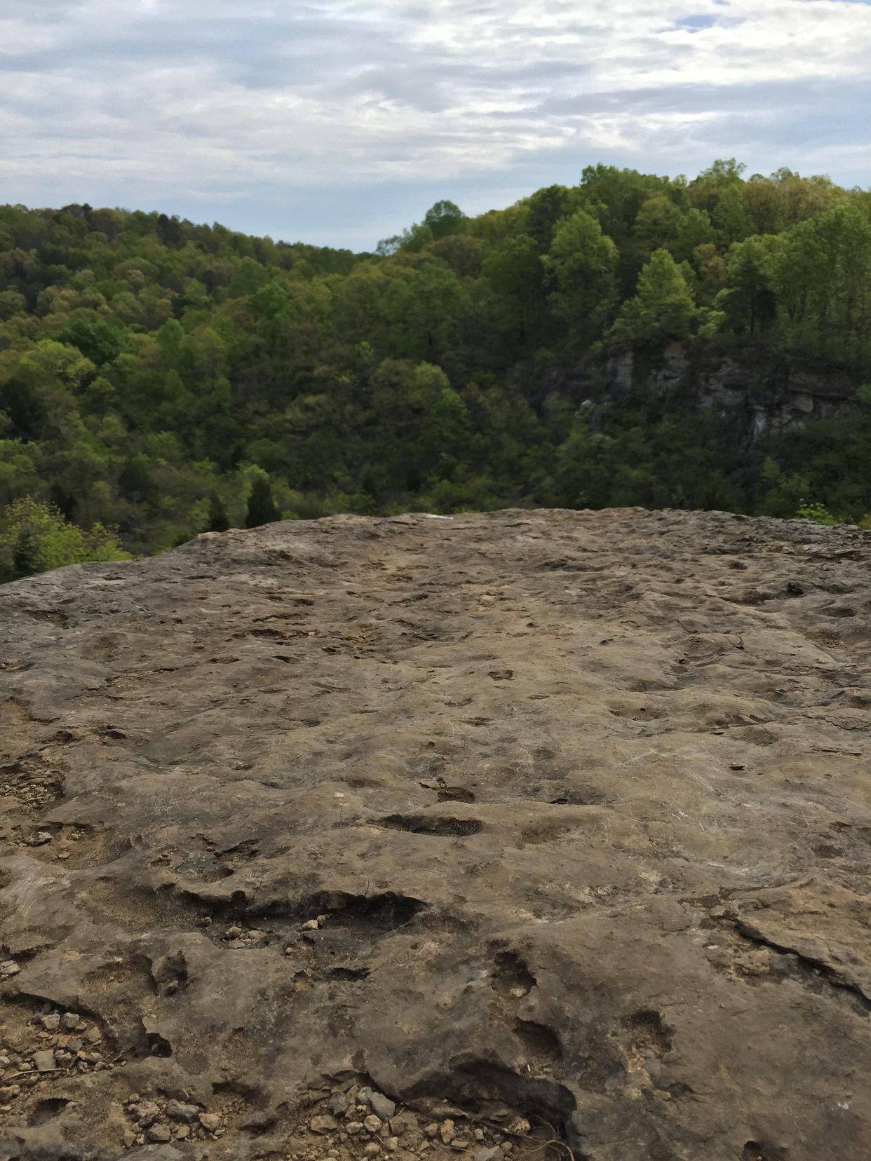 Ruffner Mountain Nature Preserve