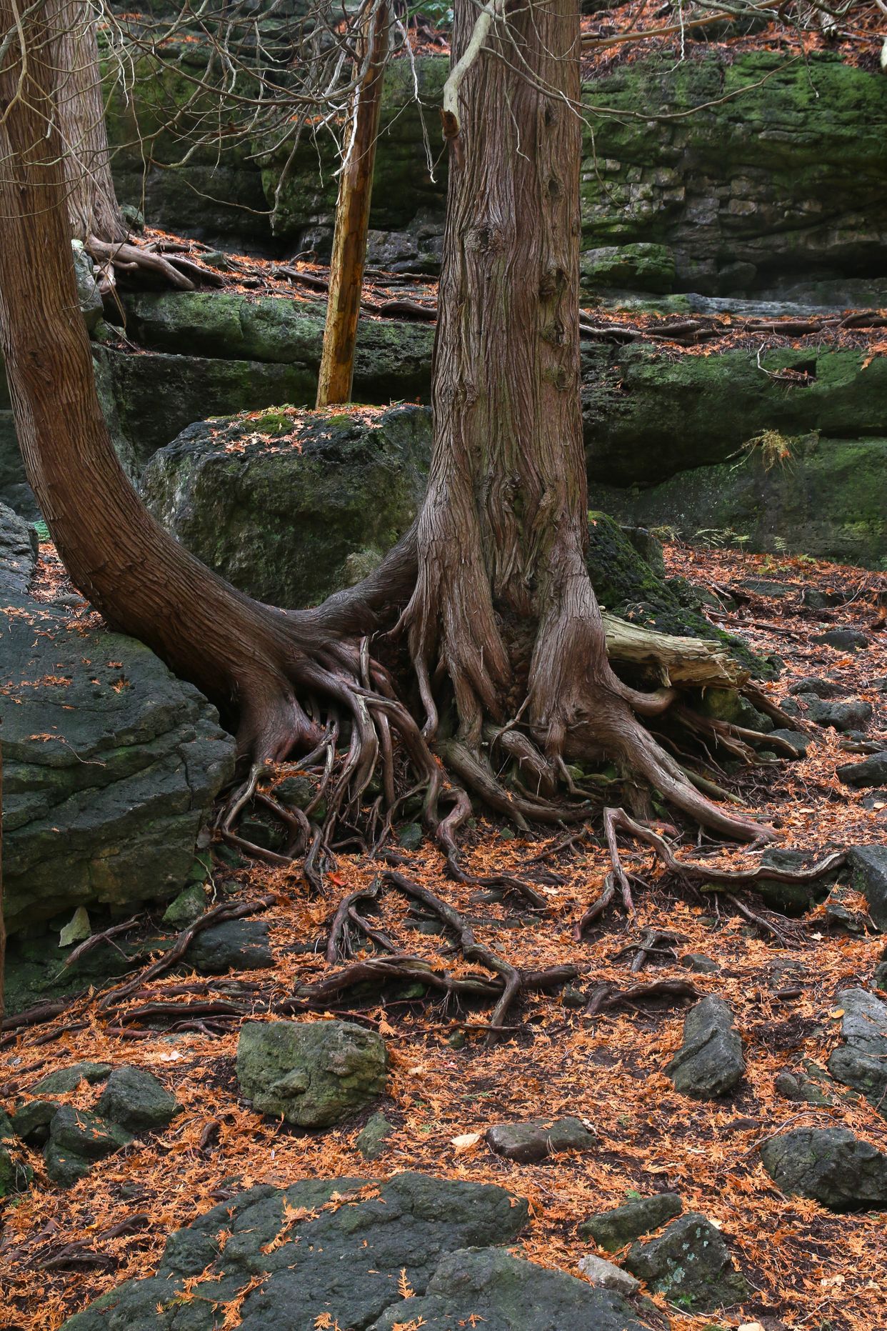 Rockwood Conservation Area