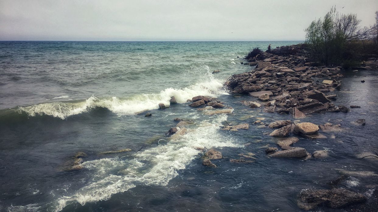 Tommy Thompson Park