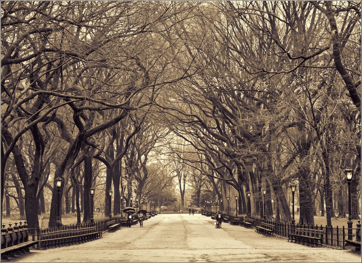 Literary Walk