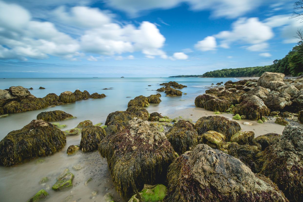 Nettlestone Point