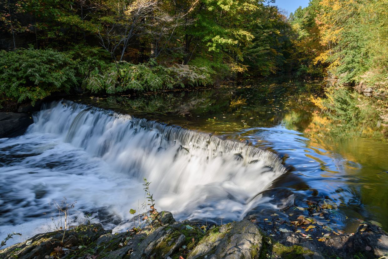 Bronx River Waterfall