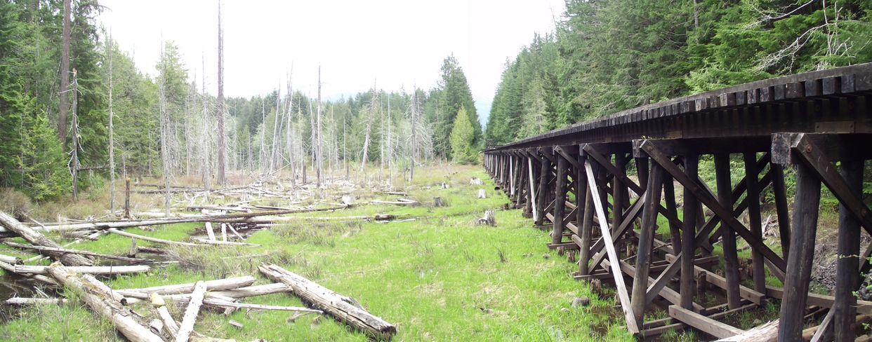 Loon Lake Swamp Rail Trestle