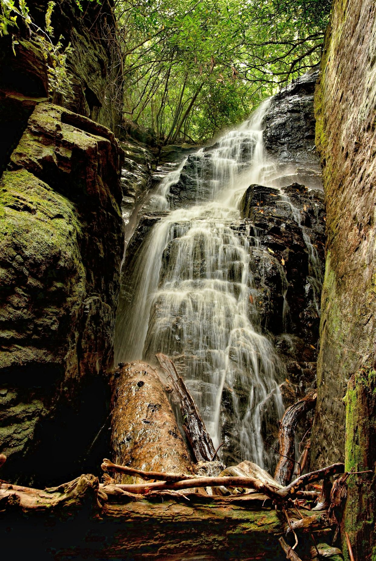 Raven Cliff Falls