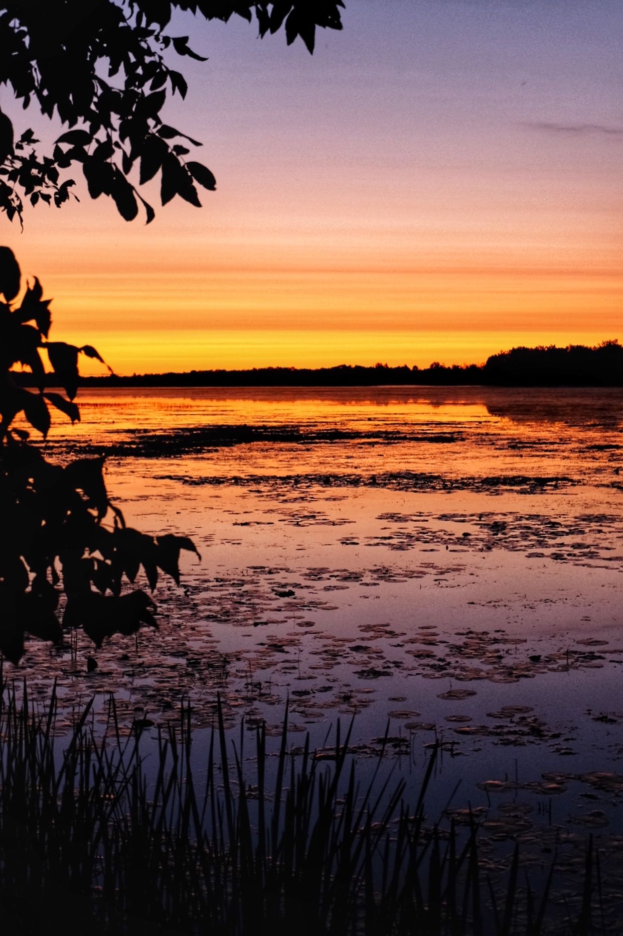 Rideau River Provincial Park