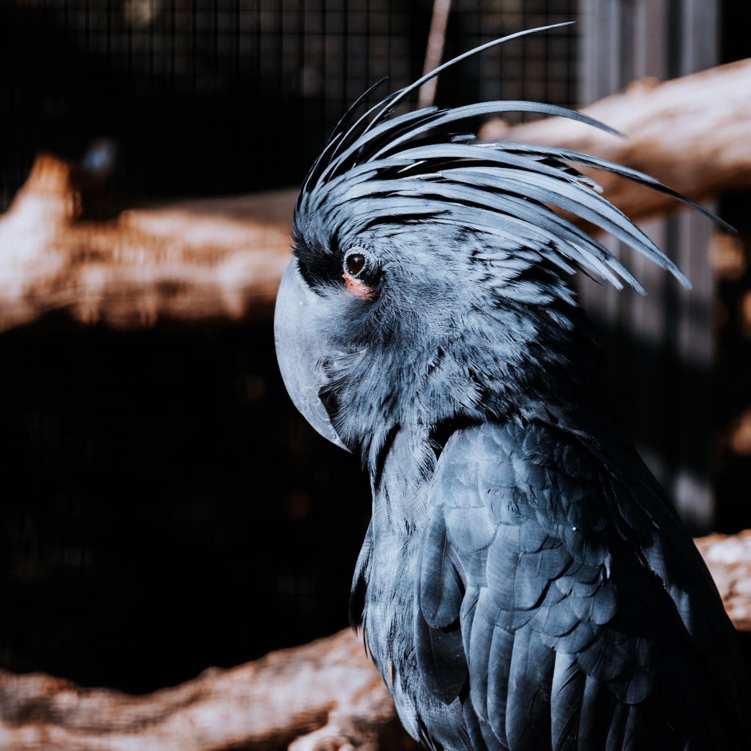 Wilhelma Zoologischer-Botanischer Garten — Photo by kk