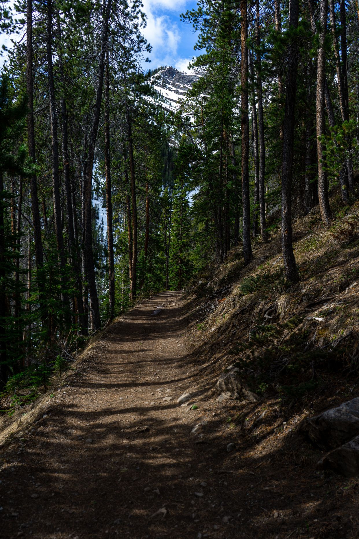 Sulphur Moutain Trail