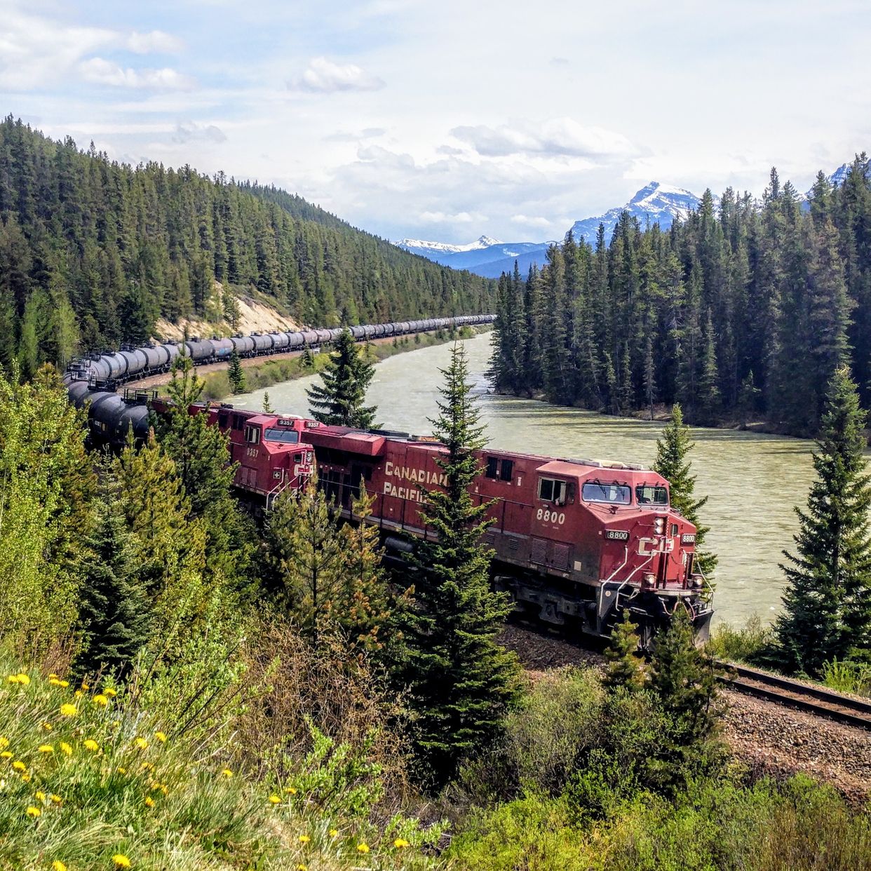 Photo by Bowvalleyparklife