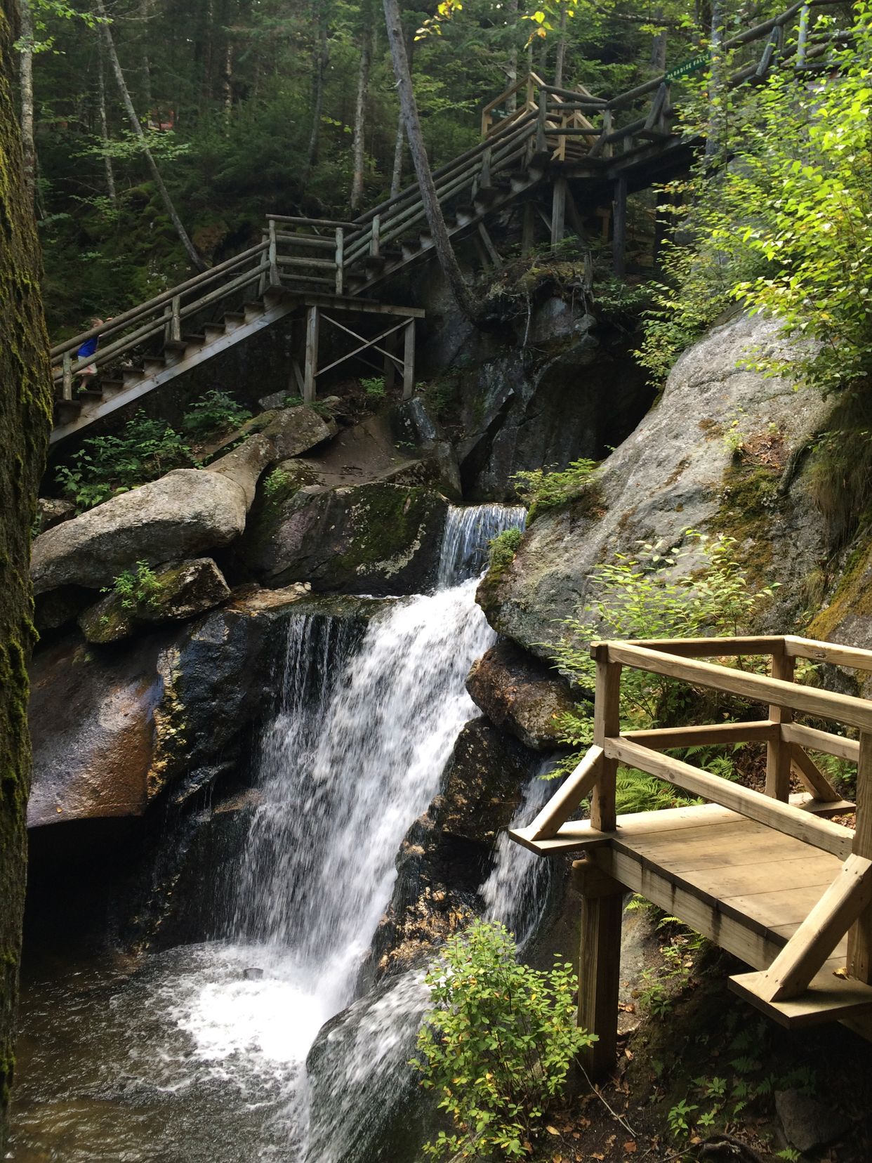 Paradise Falls 
