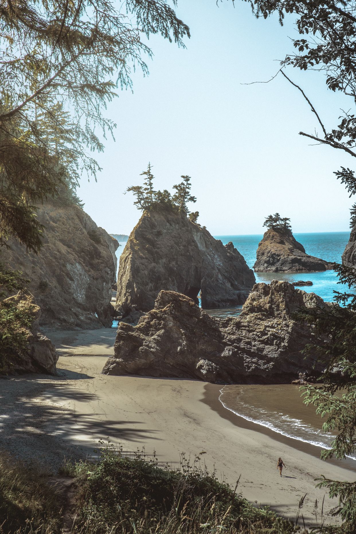 Samuel H. Boardman State Scenic Corridor