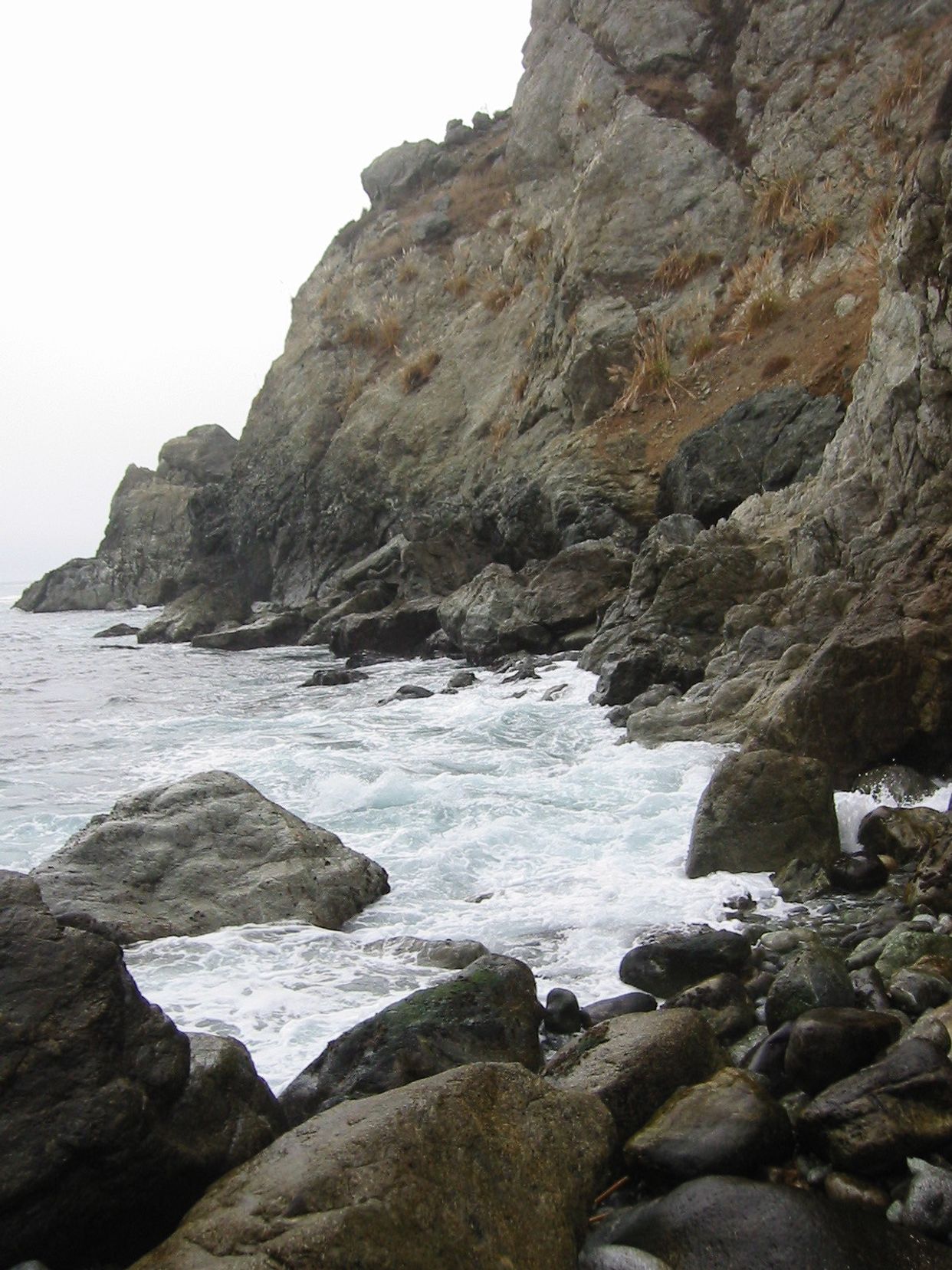 Partington Cove